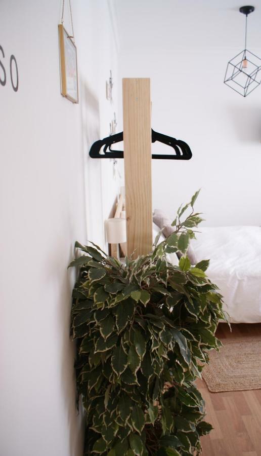 Calma Chicha Apartment Malaga Exterior photo